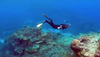 Great Barrier Reef won't be listed as endangered heritage site for now