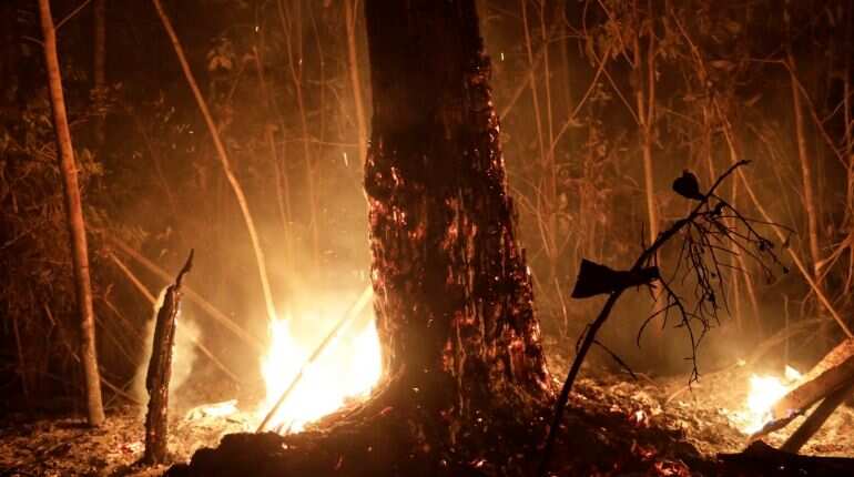 Bolsonaro issued a nationwide 60-day ban on burning