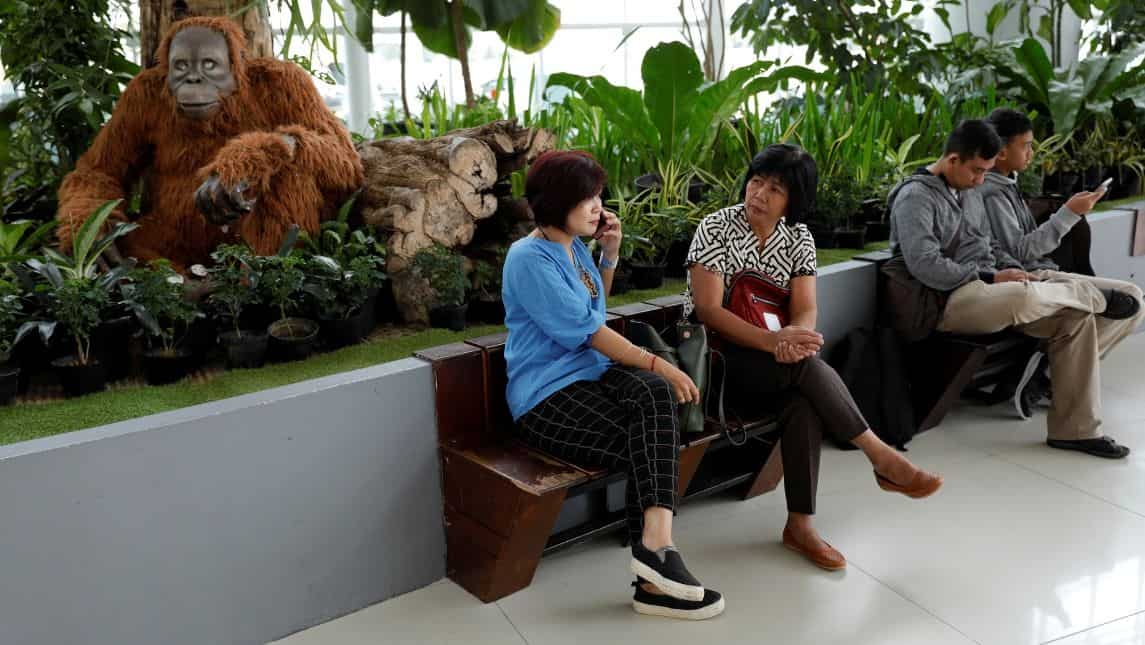 Sleepy to sleepless? Indonesia's future capital in the forest Sleepy to sleepless? Indonesia's future capital in the forest