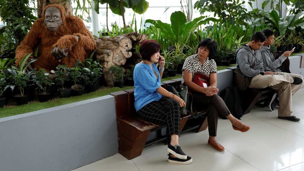 Sleepy to sleepless? Indonesia's future capital in the forest