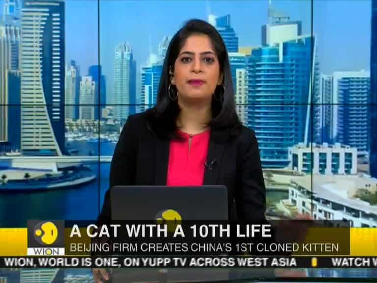 A cat with a 10th life, cloned cats now a reality