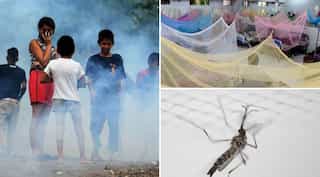 No such condition to declare 'Health Emergency' in Nepal after dengue outbreak
