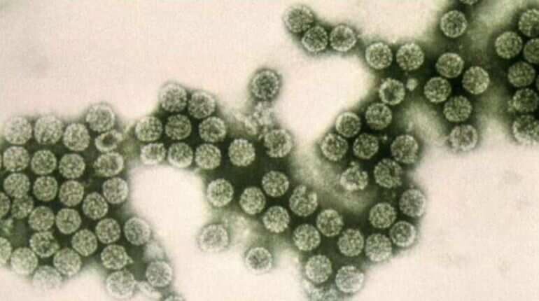 Study reveals new molecule that inhibits drug-resistant bacteria