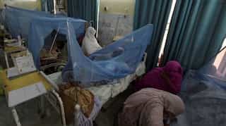 Dengue cases soar to record high in Pakistan