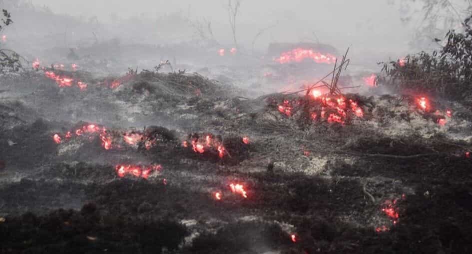 Indonesia arrests nearly 200 over raging forest fires Indonesia arrests nearly 200 over raging forest fires