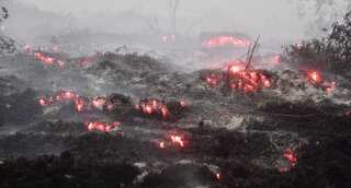 Indonesia arrests nearly 200 over raging forest fires