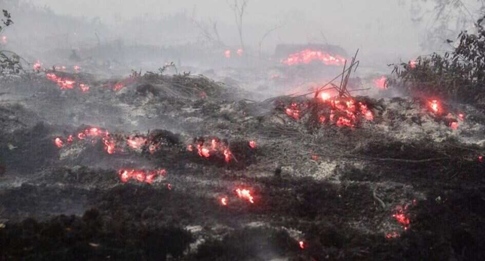 Indonesia arrests nearly 200 over raging forest fires