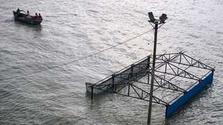 Prayagraj's low-lying areas partially submerged as water level rises in Ganga, Yamuna