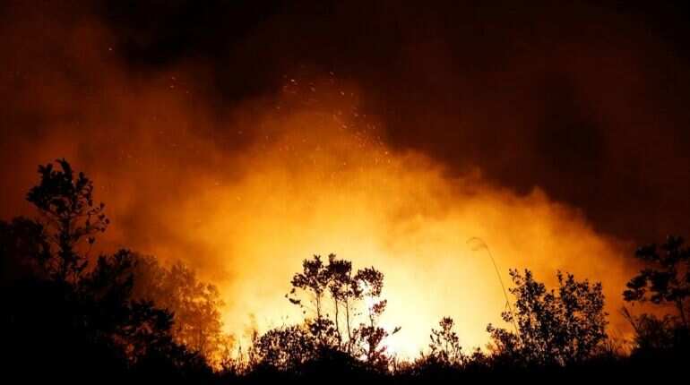 Indonesia's 'Good Palm' drive enflames anger as smoke clouds skies Indonesia's 'Good Palm' drive enflames anger as smoke clouds skies