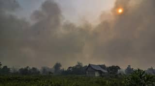Forest fires rage near Turkish resorts, killing four