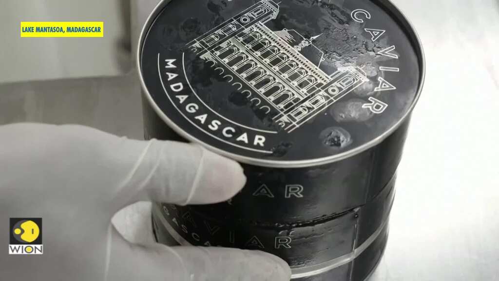 The cool new thing in French haute cuisine? Madagascar caviar