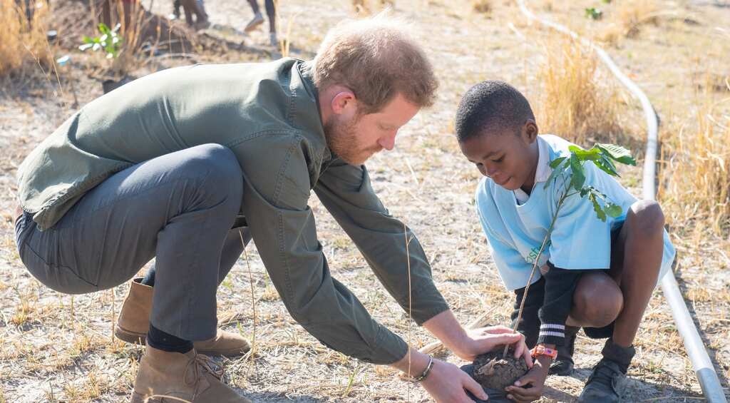 Britain's Prince Harry says 'race against time' on climate change