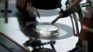 IVF doctor who used own sperm told to pay $10 million to victims