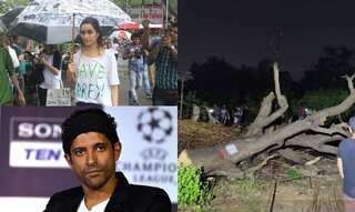 Shraddha Kapoor to Farhan Akhtar, B-town stars vent anger on social media over slashing trees of Aarey Colony