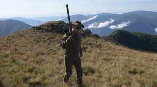 Experts look at toxic algae after California family is found dead on hiking trail