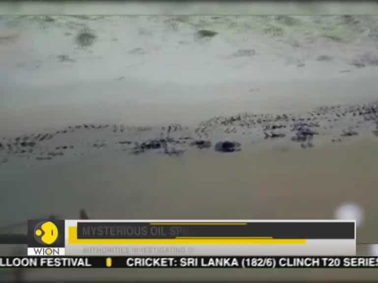 WION Speed News: Watch top national and international news of the morning - October 8th, 2019