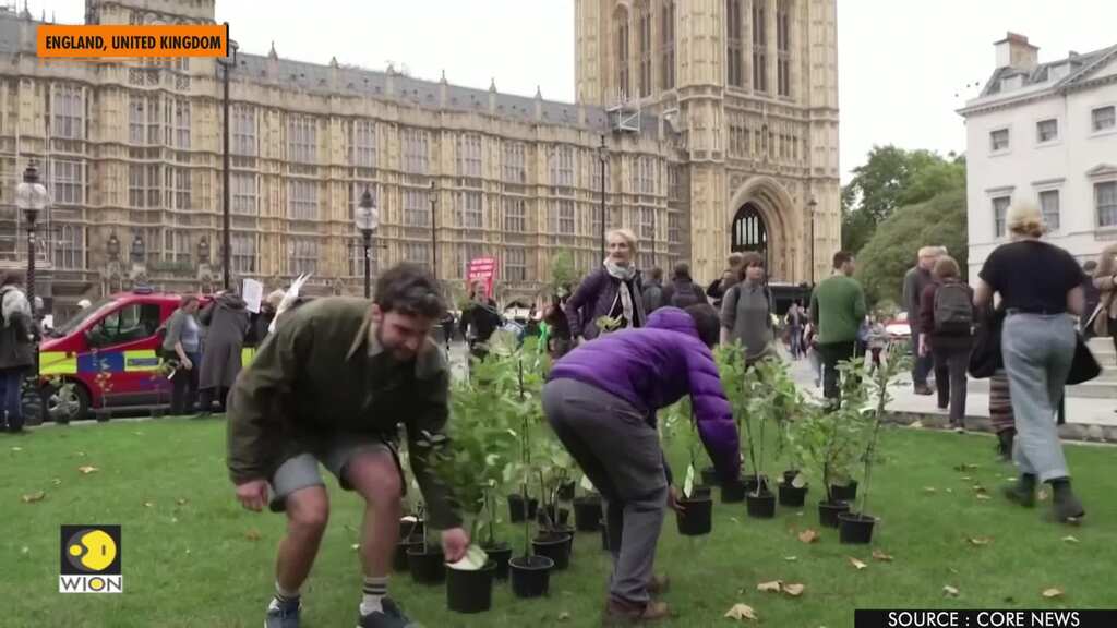 Climate change activists plant trees outside UK parliament