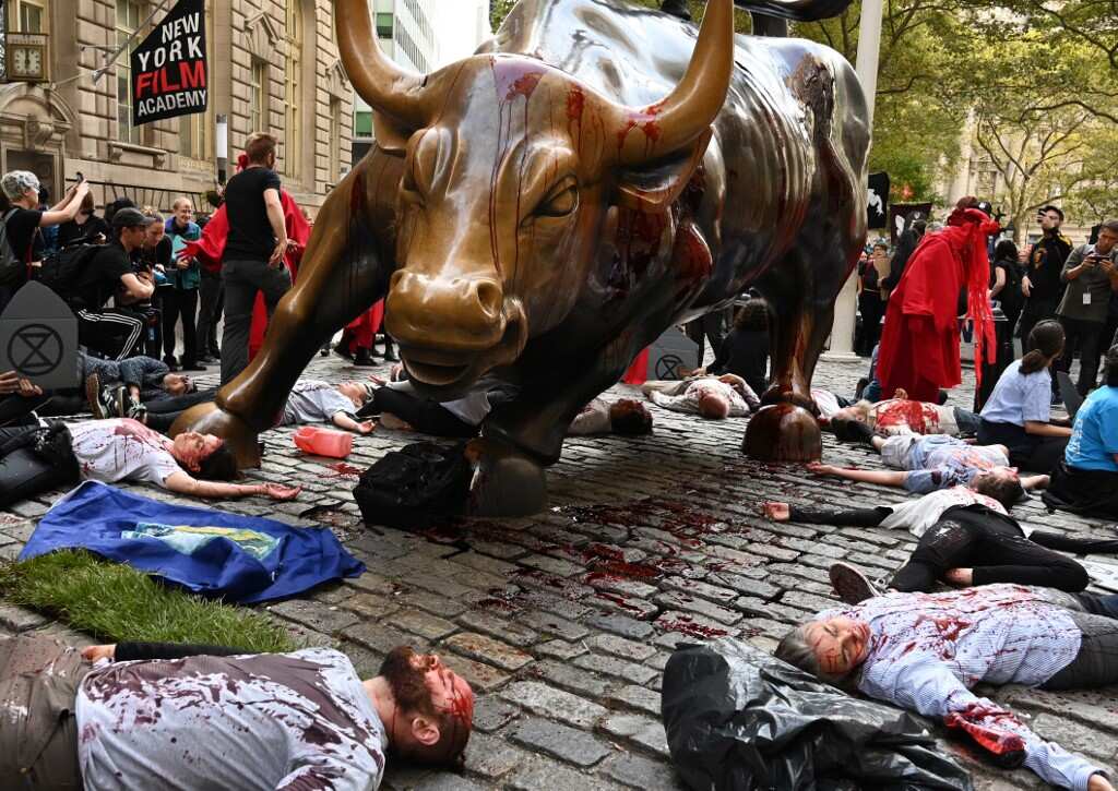WION Wallet: Wall Street's iconic 'Charging Bull' became haunt of climate change protesters