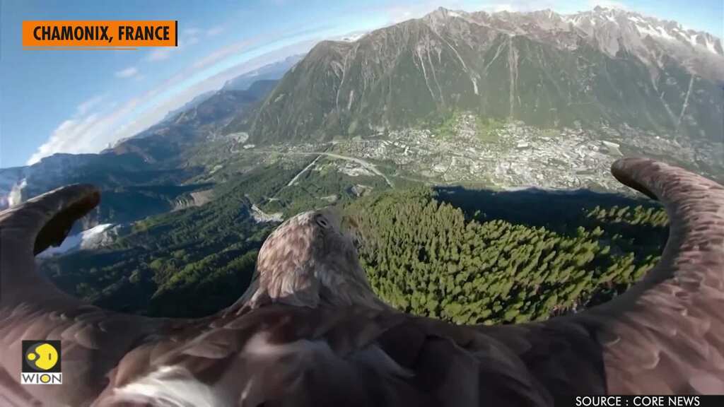 Victor the eagle's bird's eye view of Alps raises awareness of climate change