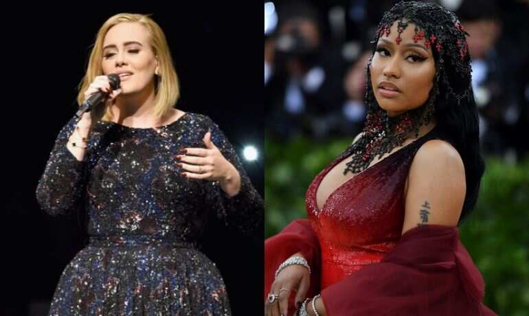 Nicki Minaj was being sarcastic about collaborating with Adele