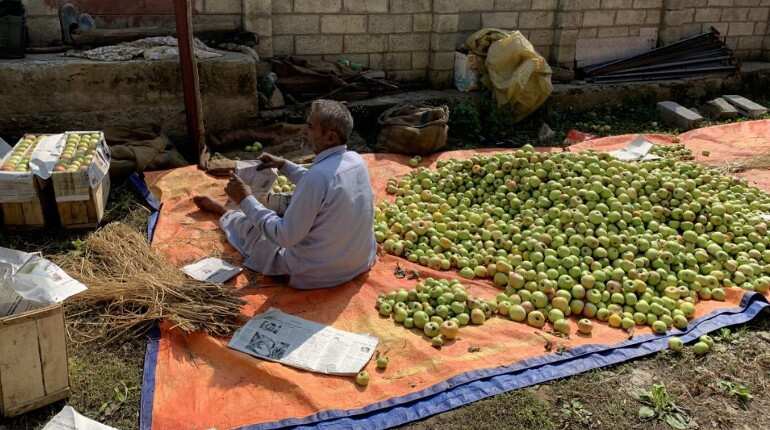 Killing of 3 non-locals shock apple traders in Jammu and Kashmir