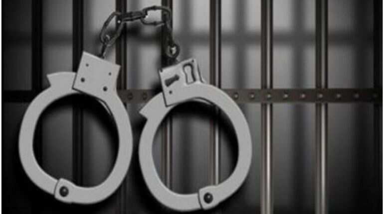 China-bound scorpions seized in Sri Lankan airport sting