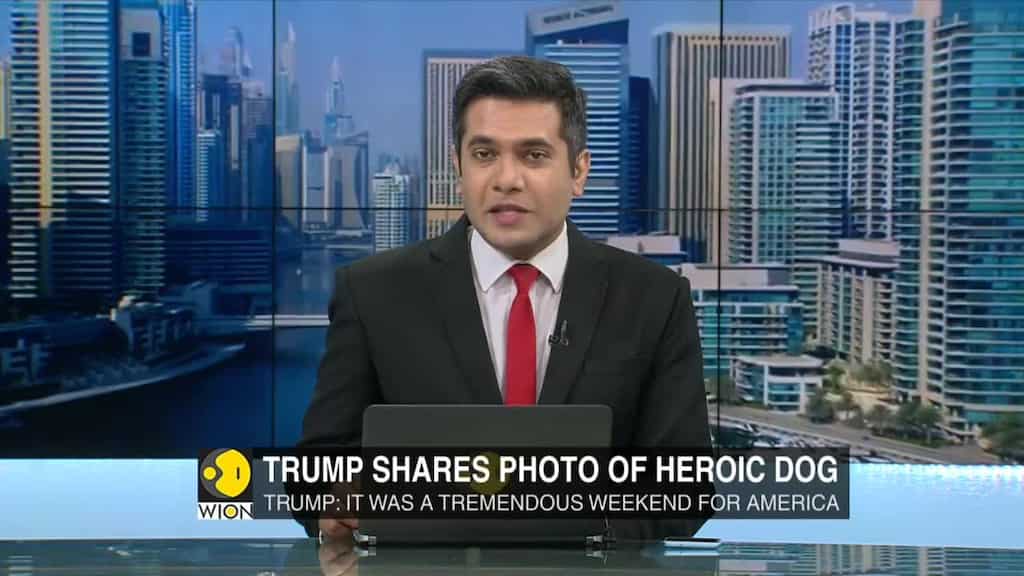 Trump shares image of hero dog injured in Baghdadi raid