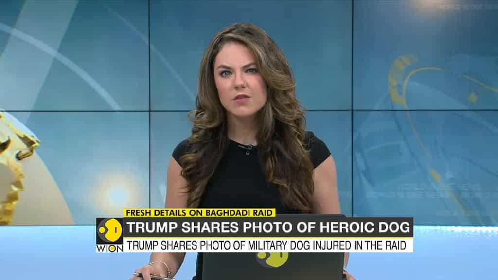 U.S. President shares picture of heroic dog played major role in Baghdadi's killing