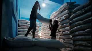 India's sugar output seen falling, global deficit rises: FCStone