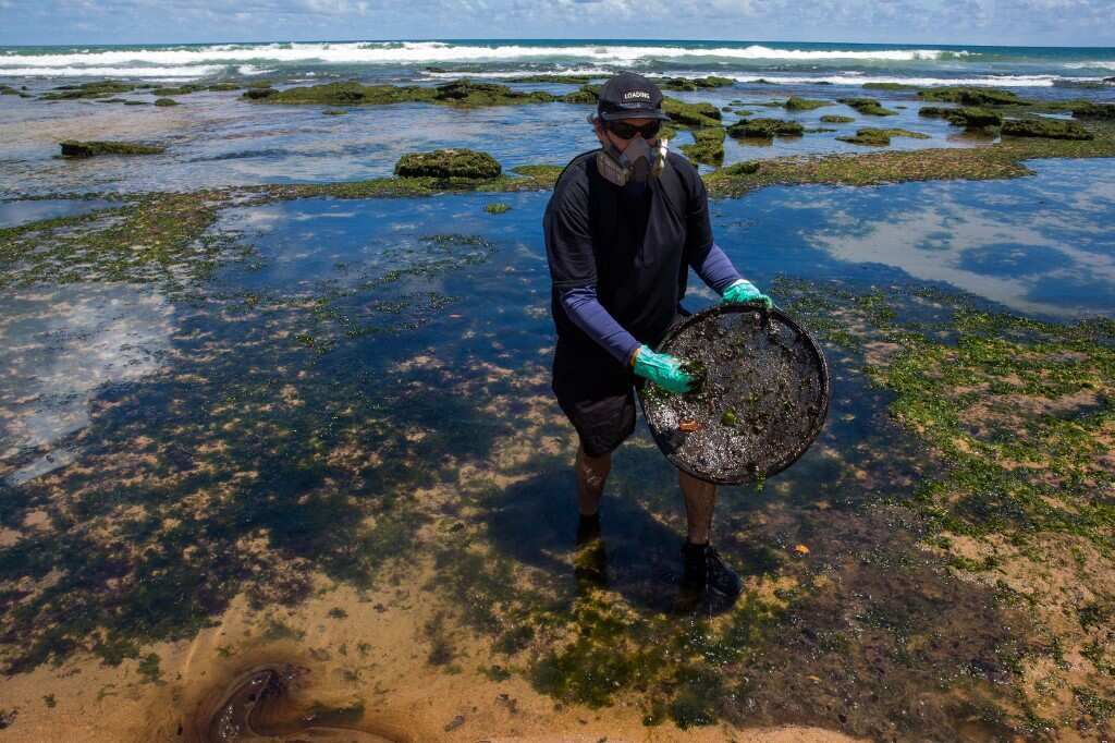2 months after oil spill in Brazil; richest biodiversity faces the brunt