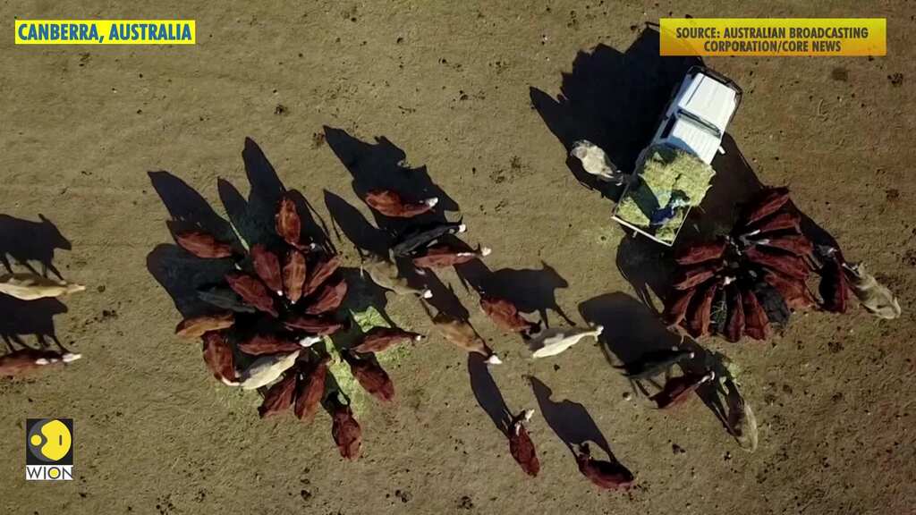 Australia offers drought ravaged farmers up to $688 million in cheap loans