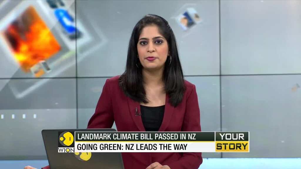 New Zealand lawmakers adopted measure to cut-down carbon emissions to net zero by 2050