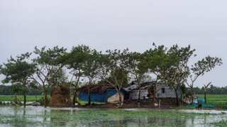 Cyclone Bulbul kills 24 in Bay of Bengal