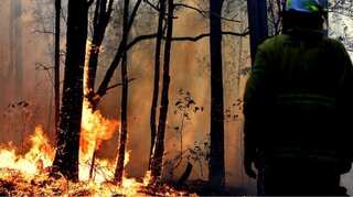 Bushfires hit emergency level on Sydney's outskirts; one dead in South Australia