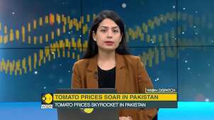 WION Dispatch: Tomato prices soar in Pakistan