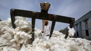 Virus outbreak delays India's cotton exports to China