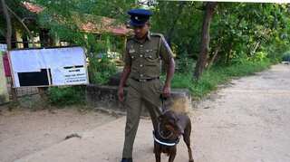 Gunmen fire at bus carrying Muslim voters in Sri Lanka