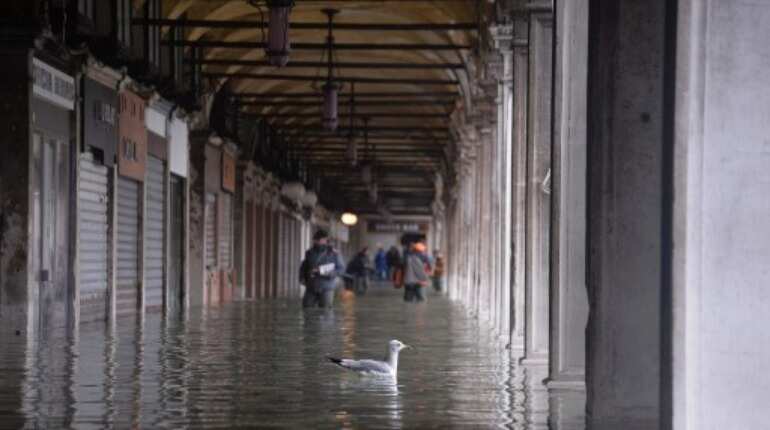 Emergency declared in Venice following severe floods