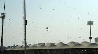 Pakistan struggles to combat devastating locust plague