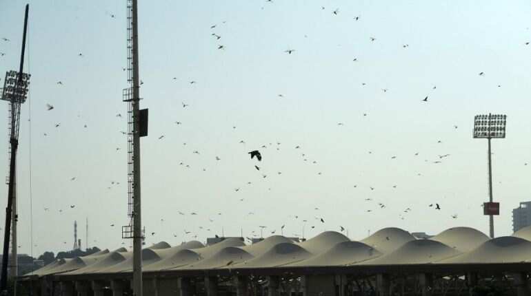 Now, new challenge facing South Asia in form of locusts