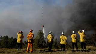 Sydneysiders urged to stay indoors as Australian bushfire smoke blankets city