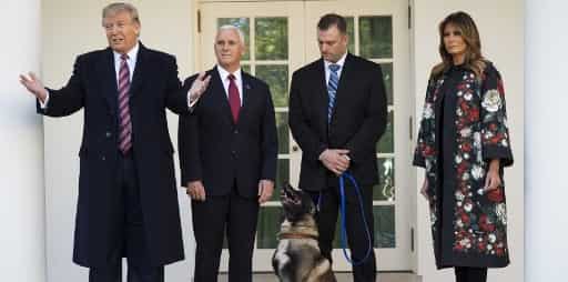 Trump honours 'hero dog' Conan involved in Baghdadi raid Trump honours 'hero dog' Conan involved in Baghdadi raid