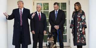 Trump honours 'hero dog' Conan involved in Baghdadi raid
