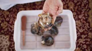 Pearl diving: How some traders are keeping the timeless tradition alive in UAE