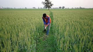 World food price index rises in March for 10th month running: FAO