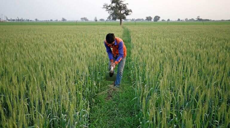 India may get record wheat production in 2020 due to wettest monsoon in 25 years