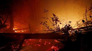 Indonesian fires burnt 1.6 million hectares of land this year: Researchers