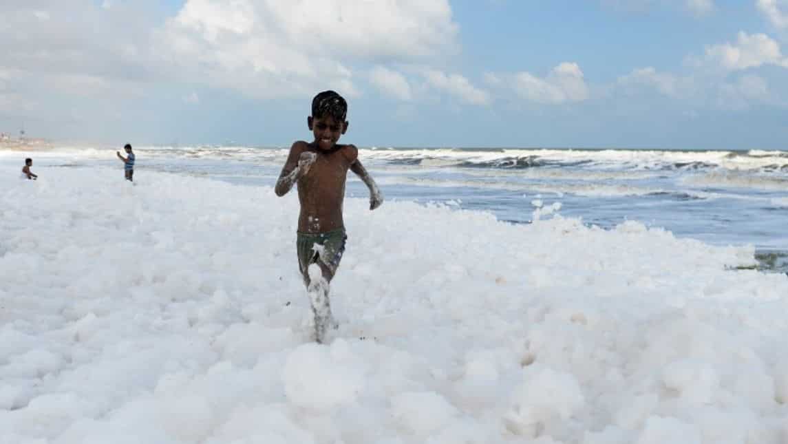 Acidic world seas threaten vital marine ecosystems