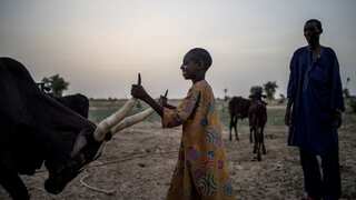 Uganda suspends 54 NGOs including prominent rights group