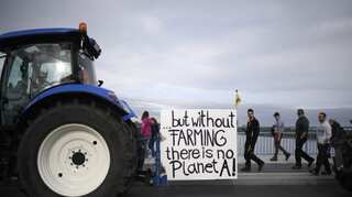 Austria: Government declines to implement glyphosate ban for 2020